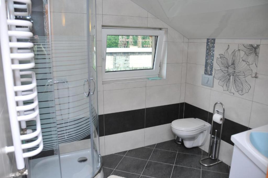 Willa Stenia Center Apartamenty Wisła Extérieur photo
